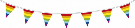 Línea de bandera arcoíris de barba blanca Haza, 10mtr.
