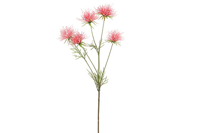 Countryfield kunstbloem hakea d.roze 75cm