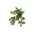 Countryfield planta artificial plug colgante peperomia verde l50w30h23cm