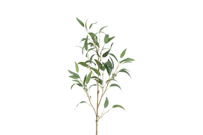 Countryfield kunstbloem eucalyptus l wit 21cm