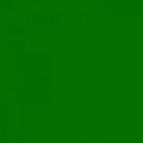 Cartulina fotográfica 25 hojas 70x50cm 300gr. hierba verde