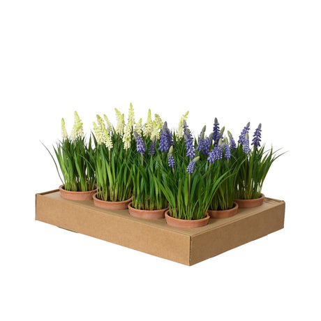 Decoris planta artificial uvas en maceta ø11xh26cm 2 surtidos