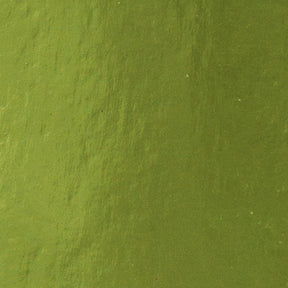 Tonic studios • tarjeta espejo a4 x5 verde acebo