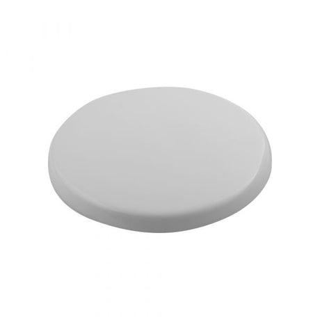Placa de techo blanca