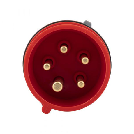 Enchufe Enzo cee 16a 5 pines
