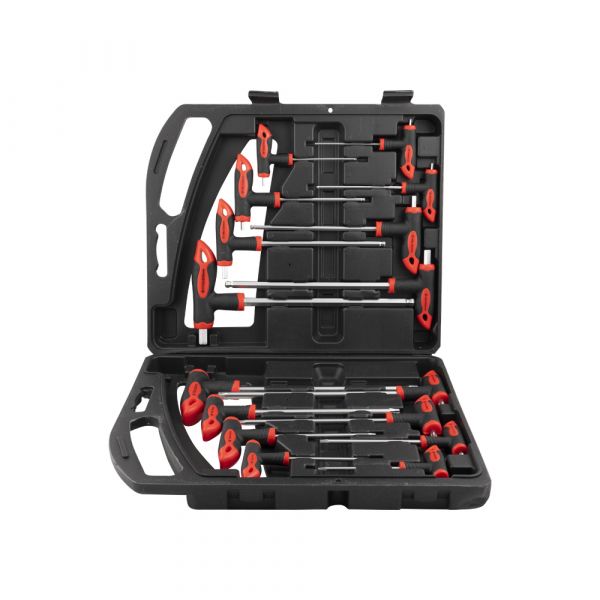 Allen Keys Conjunto de 16 piezas