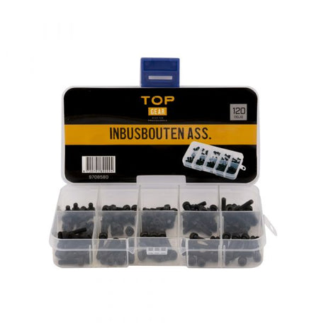 Topgear tornillo allen culo. 120 piezas