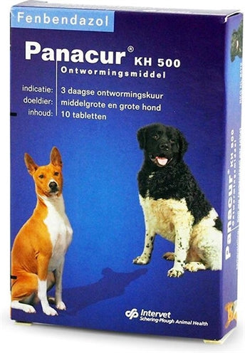 Gato de perro panacur