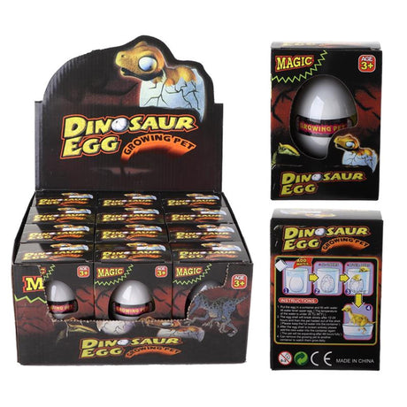 Huevo de crecimiento de dinosaurio en caja Huevo de crecimiento de dinosaurio en caja
