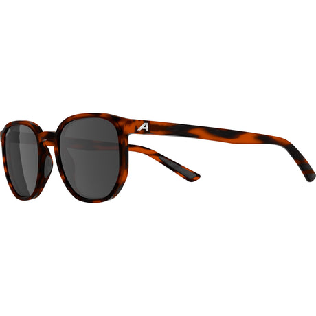 Ropa deportiva olímpica alpina sports estilo de vida gafas dimont lente negro habana