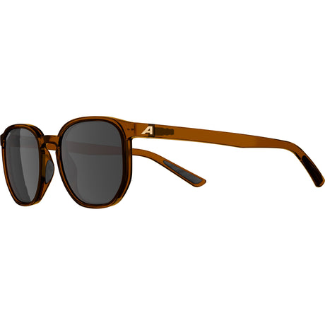 Ropa deportiva olímpica alpina sports gafas de estilo de vida dimont lente marrón marrón