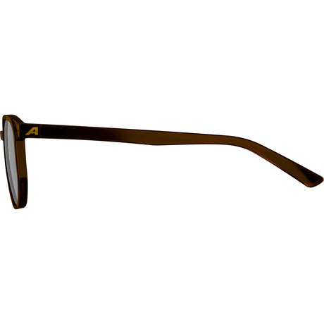 Ropa deportiva olímpica alpina sports gafas de estilo de vida dimont lente marrón marrón
