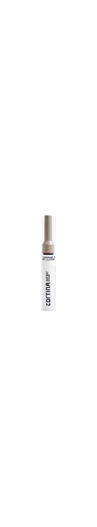 Cortina pintura rotulador champagne mgsw 242 brillo