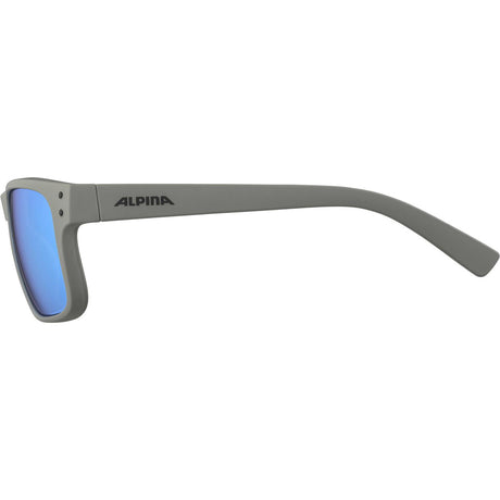 Gafas deportivas Alpina gris cósmico