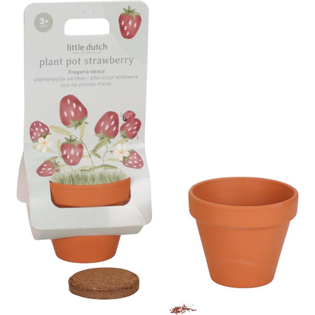 Pequeña maceta holandesa de fresas