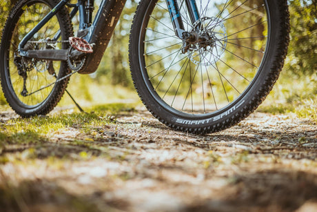 Schwalbe valp tapón antipolvo válvula sc scv bl 50uds