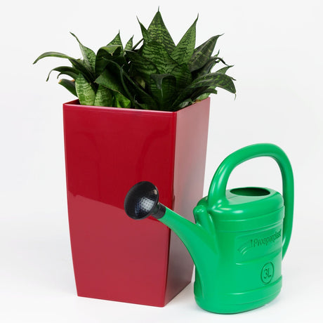 Productos regadera plastico verde 3l con pico