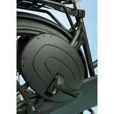 Qibbel asiento trasero junior 6+ portaequipajes verde