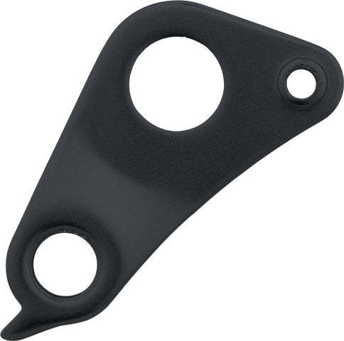 Eje patilla de cambio Specialized Amazinger 2.1 del modelo 2012