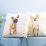 Esschert design cojín de exterior perro