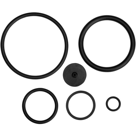 Juego de anillos Gardena para junta de pulverizador a presión (11162-20)