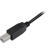 Sharkoon USB-A 2.0 > Cable USB-B (negro, 2 metros)