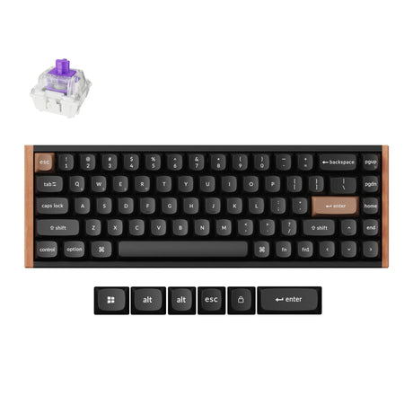 Teclado mecánico keychron k6 he-f1 rgb (negro, diseño estadounidense (qwerty), nebulosa magnética de doble carril gateron, 65%, leds rgb, pbt de doble disparo osa, intercambio en caliente, usb-c | 2,4 ghz | bluetooth 5.1)