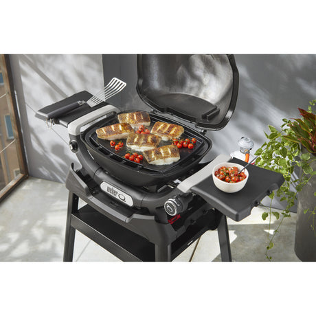 Plancha completa Weber para q 1100n q 1200n