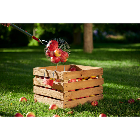 Recolector de frutas Wolf-Garten Multi-Star FC-M (rojo, soporte incluido)