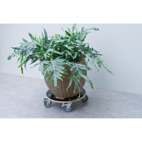 Carro para plantas Nature con ruedas redondas (negro)