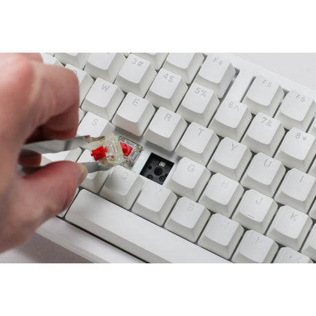 Teclado mecánico para juegos Ducky zero 6108 blanco puro rgb (blanco, diseño estadounidense (qwerty), rojo cereza mx2a, 100%, leds rgb, pbt de doble disparo, intercambio en caliente, 2,4 ghz | bluetooth | usb-c)