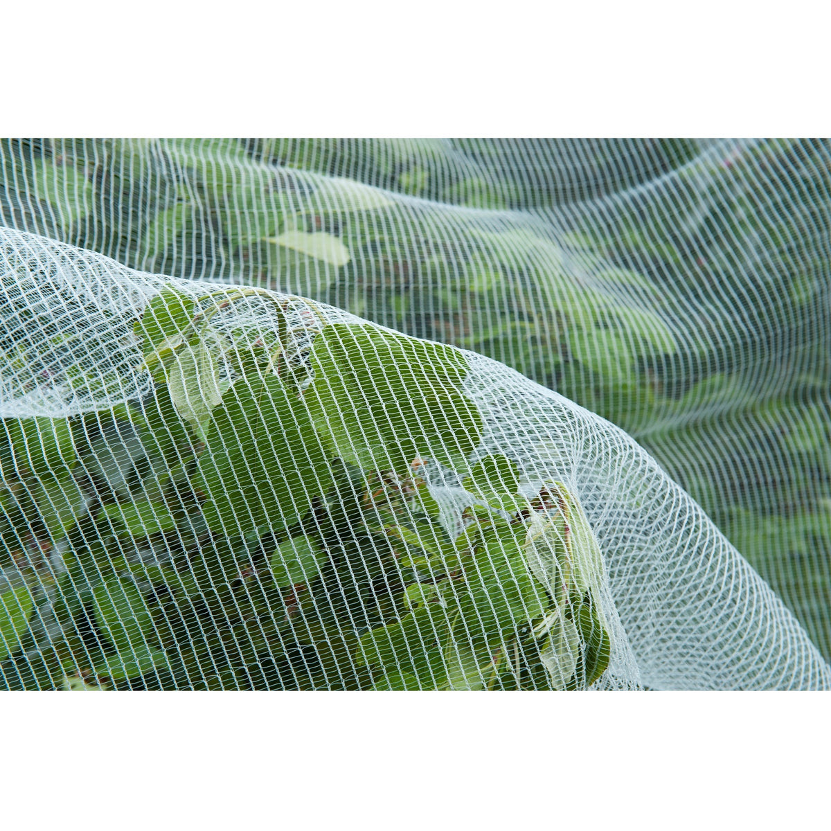 Mosquitera Nature, mosquitera de malla fina (blanco transparente, 5,2 x 5 m)