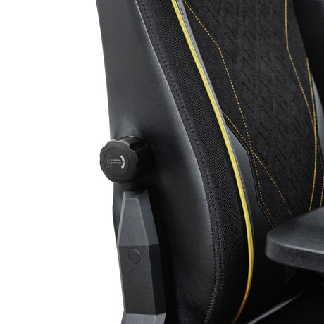 Trust GXT 721 Ruya Pro Premium Cómoda silla gaming (Negro Amarillo)