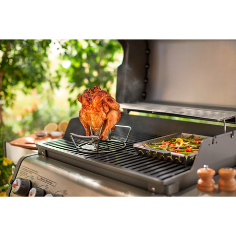 Soporte para aves de corral Weber (plateado)