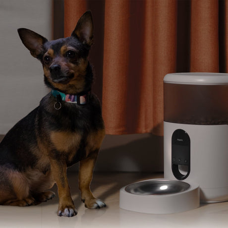 Aqara pet feeder c1 contenedor de comida (blanco)