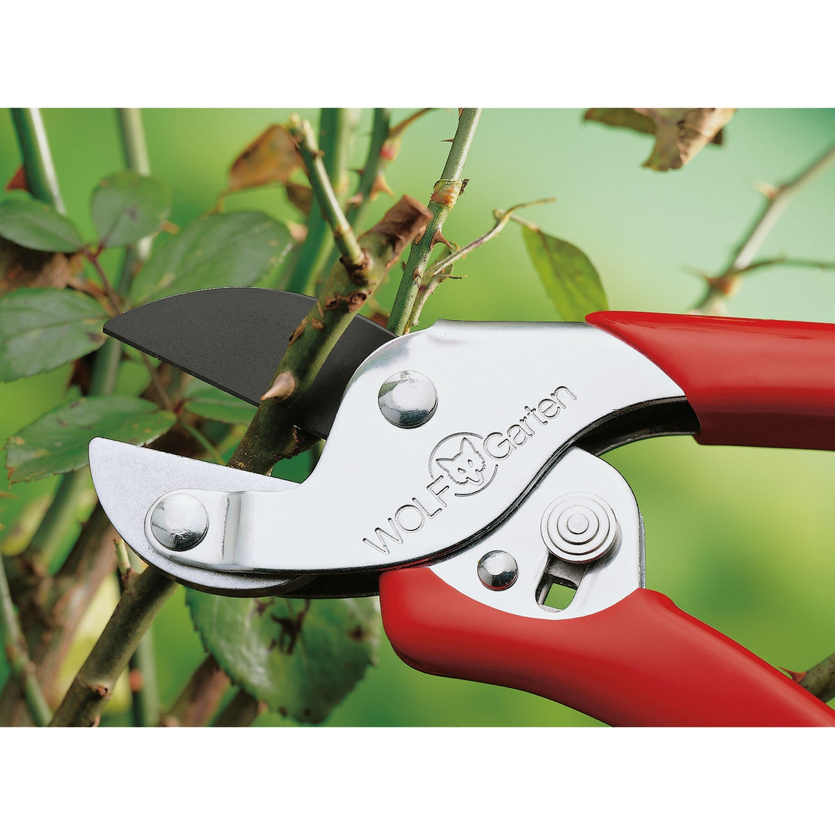 Tijeras de podar Wolf-garten rs-en - yunque - máx. diámetro de corte 19 mm - adecuado para diestros y zurdos