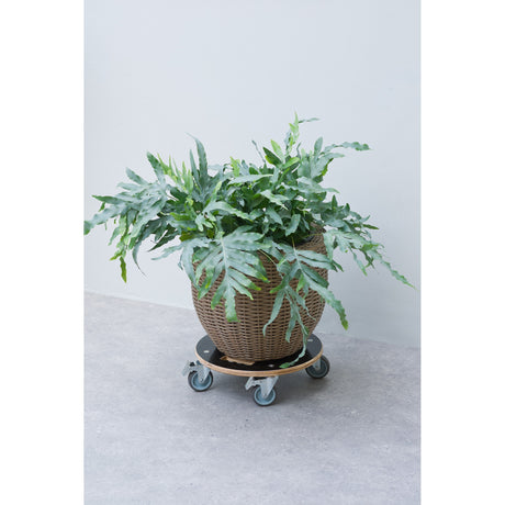Carro para plantas Nature con ruedas redondas (negro)