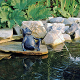 Figura jeringa rana Ubbink
