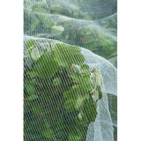 Mosquitera Nature, mosquitera de malla fina (blanco transparente, 5,2 x 5 m)