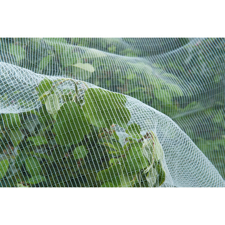 Mosquitera de malla antiinsectos Nature (blanco transparente, 5,2 x 5 m)