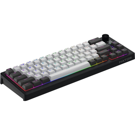 Hator skyfall pro wireless rgb mechanisch gaming toetsenbord (zwart, us lay-out (qwerty), hator aurum vanilla silent, 65%, rgb, double-shot pbt, hot-swap, 2.4ghz | bluetooth | usb-c)