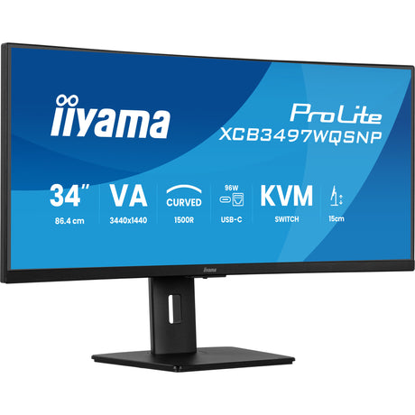 Iiyama prolita