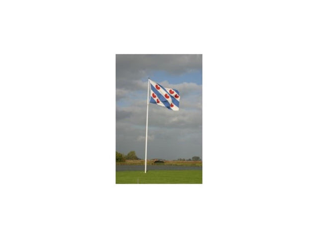Dokkumer flags bandera central Frisia 20x30 cm