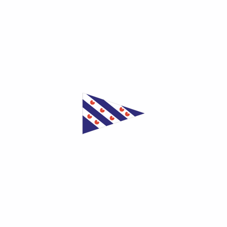 Dokkumer flags bandera de Frisia central punta bandera Frisia 40x60 cm punta