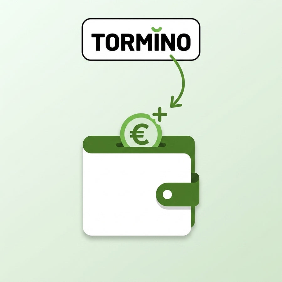 Tormino B2B wallet — recargar saldo para pedidos de dropshipping
