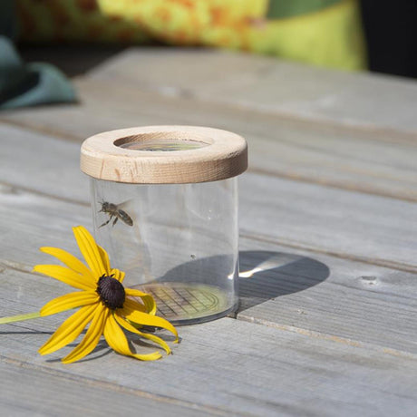 Esschert design caja de estudio de insectos de madera