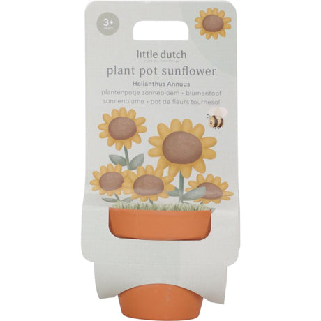 Pequeño girasol en maceta holandesa