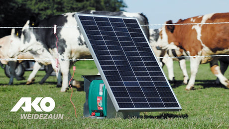 Productos Ako duo power xi8000 energizador inteligente 230v 12v