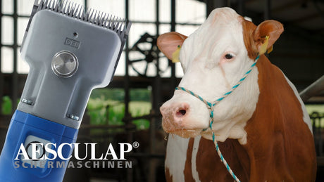 Aesculap econom productos esquiladora de ganado econom inalambrico plus2 baterias 1