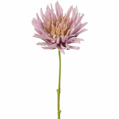 J-line flor artificial crisantemo violeta 40 cm | 24 piezas